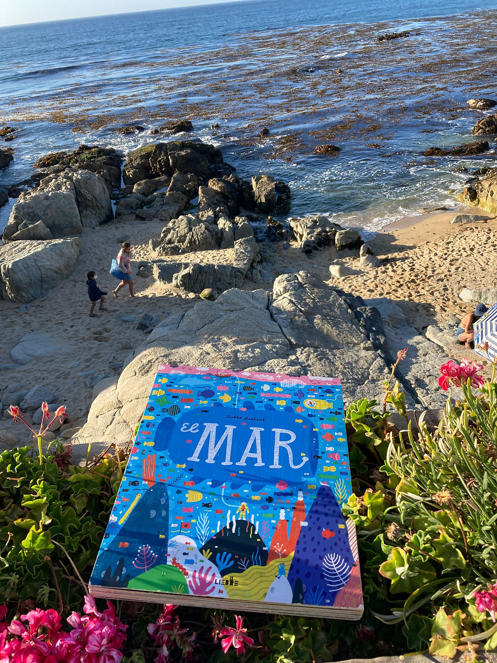 Miniatura: El Mar