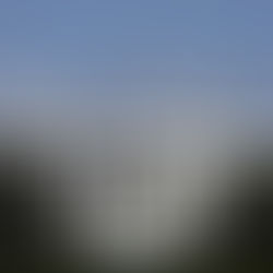 Trump White House at work on executive order tackling drug prices: report