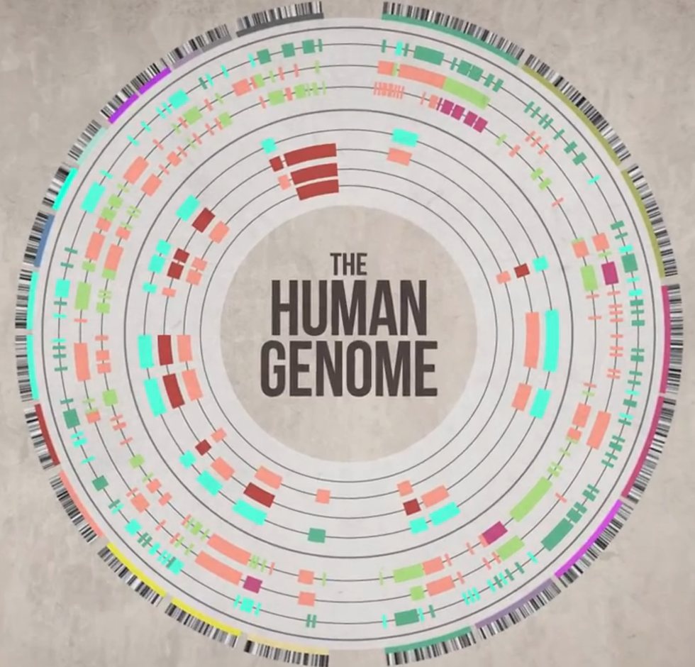 The Human Genome Was Never Completely Sequenced - Read More from Scientific American