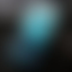 The S10 has a Bixby button, but it can be remapped to open any app