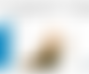 Appalachian natural gas processing capacity key to increasing natural gas, NGPL production