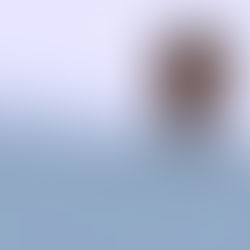 Google Failed to Fully Secure G Suite Passwords For 14 Years