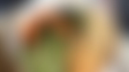 Dairy Free Recipe Ideas