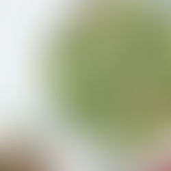 Quick Simple & Healthy Dishes to Try