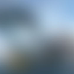 Airbnb’s latest listing: a research vessel with incredible views and a no-high-heels policy