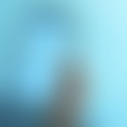 Twitter lets you add GIFs to retweets