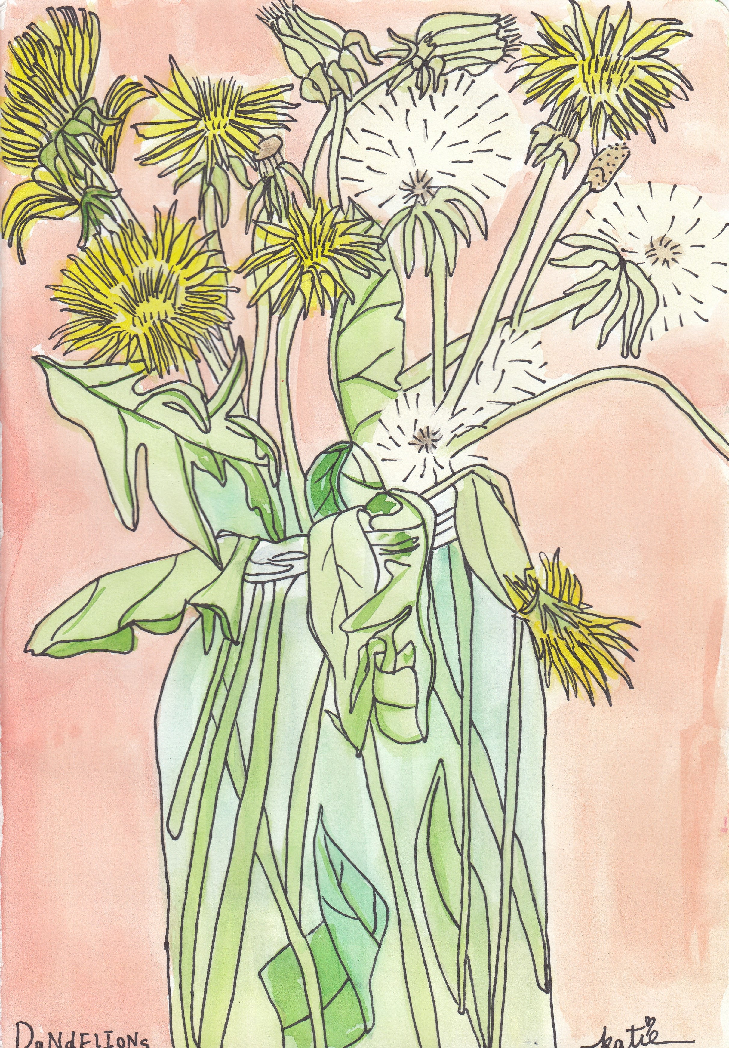Dandelions