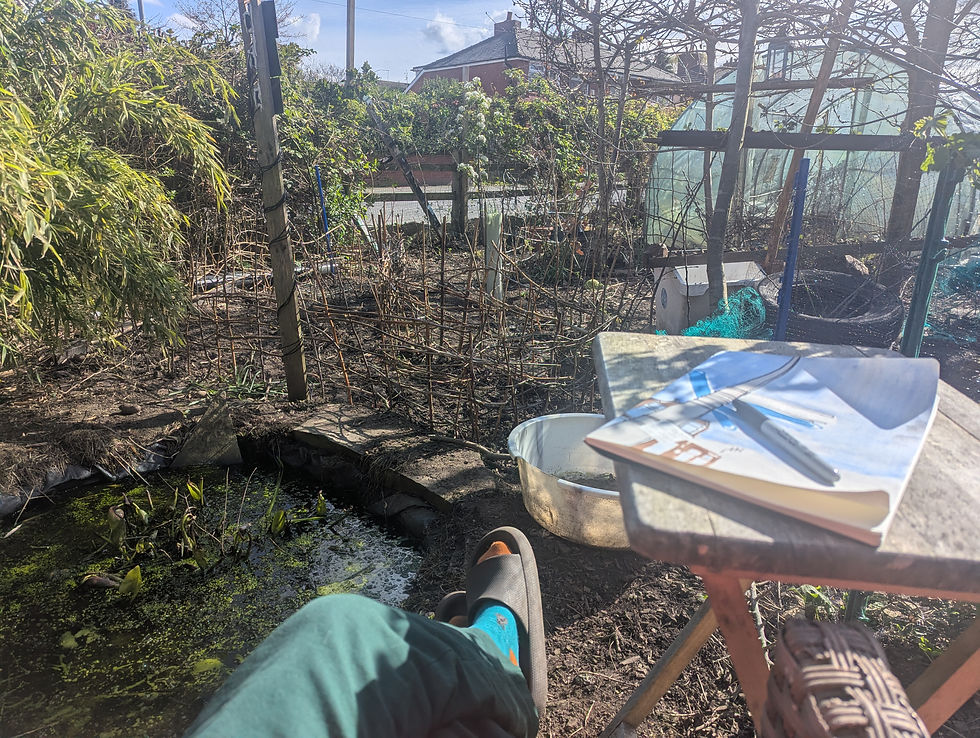 Garden Art