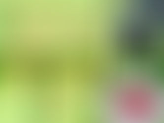 Morning Post for 17 July, 2020