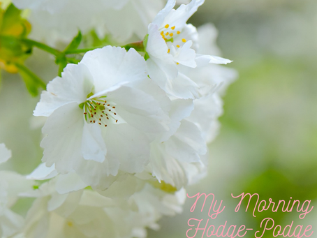 My Morning Hodge-Podge of Lessons