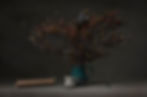 Hawkes_Bay_Photographer_Richard Wood