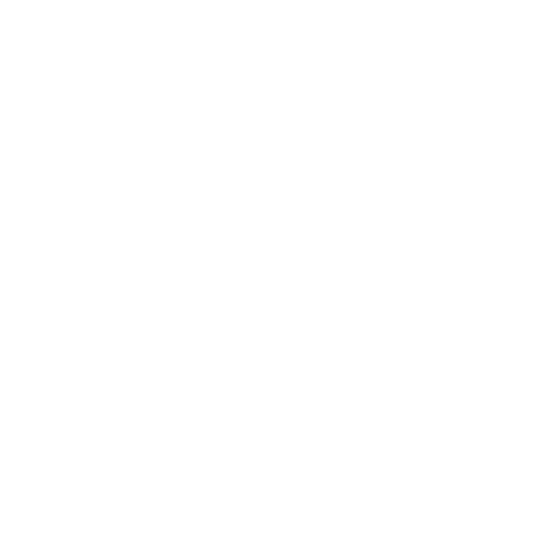 Icon to change site language