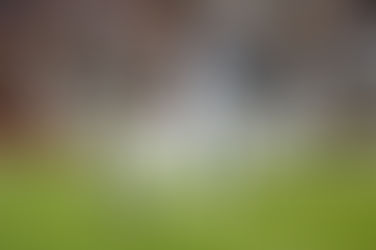 Captain of the Titanic