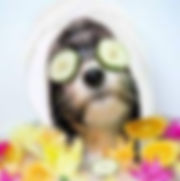ree