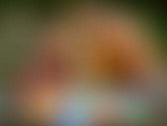 'சிறுவன் சாமுவேல்' - விமர்சனம் !