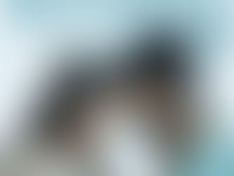 "மதராஸி" படத்தின் முதல் சிங்கிள் “சலம்பல” பாடல் வெளியானது !