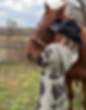 IMG_9024.jpeg