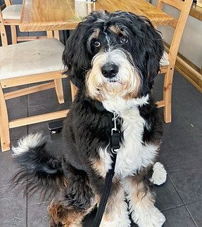 WhatsApp Image 2025-11-14 at 12.48_edite