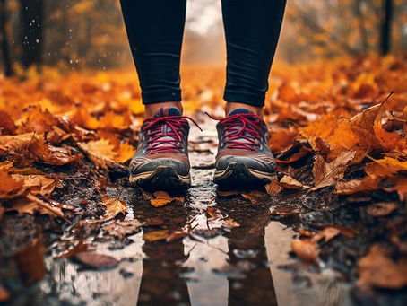 Outono - desabrochar e desapegar