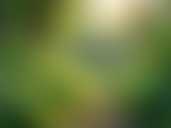 The Importance of Sustainable Living in Today's World