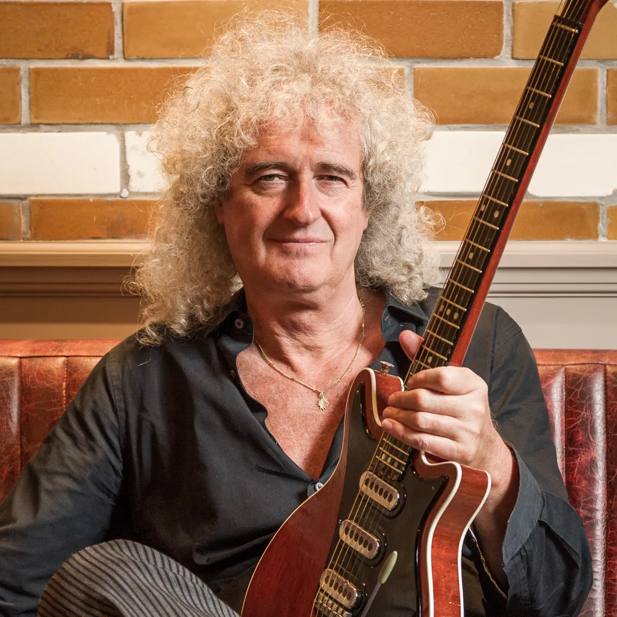 Picture of Brian May