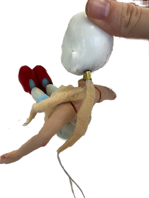 IMG_7891_edited.png