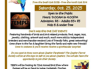 Upcoming: BEIT & TBBFA Show, October 25, 2025