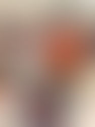 June 15, 2024 - Gator Done Budgerigar Club Show Results, Day 1