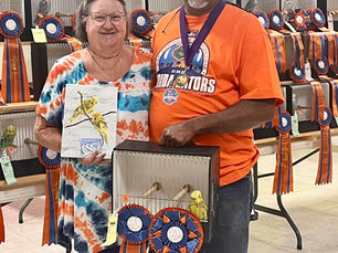 June 15, 2024 - Gator Done Budgerigar Club Show Results, Day 1