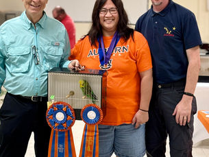 October 27, 2024: Gator Done Show Results, Day 2