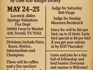 Upcoming: Memorial Day Weekend Showdown! May 24-25, 2025