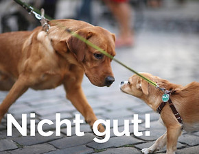 istockphoto-1133868803-612x612_edited.jpg