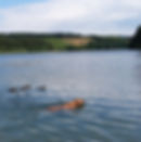 20160714_160040_edited.jpg