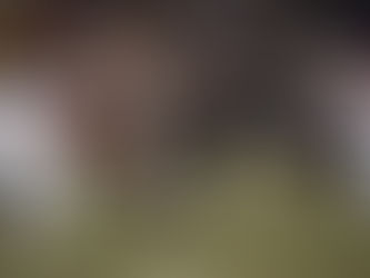 Washington’s Reed capitalizing on spotlight with big senior season: “He deserves this”