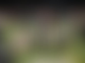 2024 Football Preview: Godfrey takes reins at Heyworth with goals of repeating 2023’s success