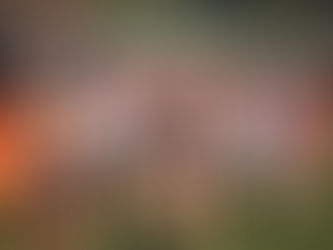 IHSA girls cross country