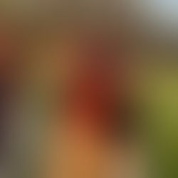 Washington Panthers baseball