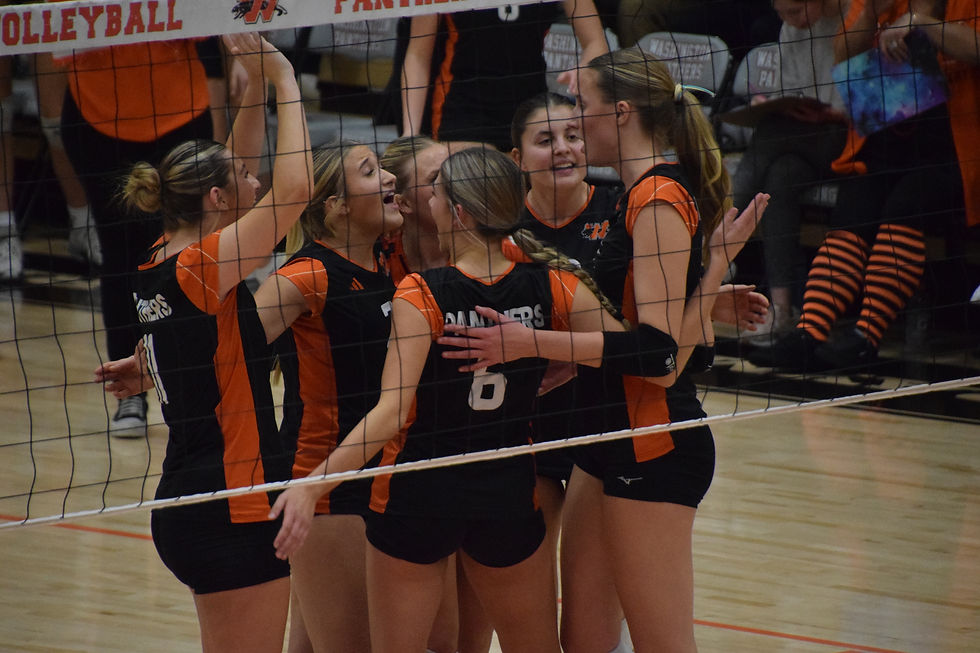 Washington Panthers volleyball