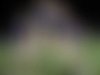 Bloomington Central Catholic football