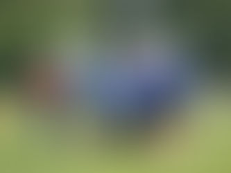 2024 Football Preview: Peoria Heights expecting breakthrough season