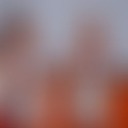 Roanoke-Benson basketball