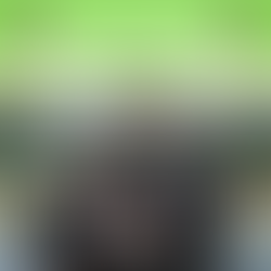 Patrick Gornik Dunlap