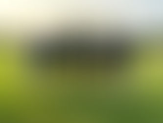 The Roundup, Sept. 10, 2024: Washington volleyball grabs rivalry win, East Peoria golf sets record on busy Tuesday