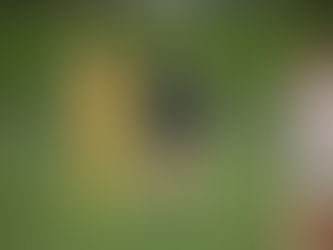 The Roundup, May 17, 2024: Dunlap softball wins thriller, 2A and 3A girls track state gets underway, plus regional title soccer