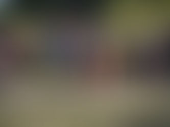 The Roundup, Oct. 26, 2024: Area runners flourish in XC regionals, five area teams prevail in soccer