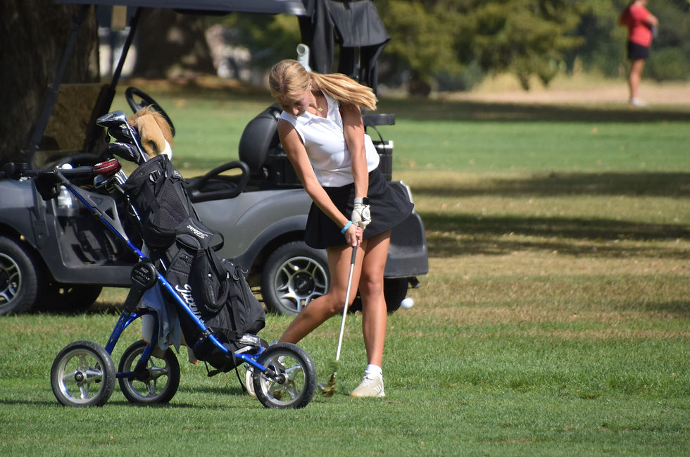 Bailey Engel Normal Community