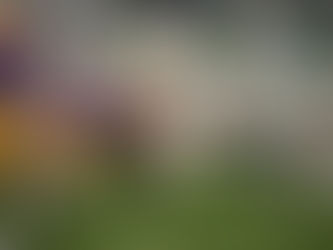 Bloomington Normal U-High football