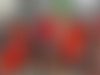 A group of Manual football players pose for a picture in front of a fire truck. 