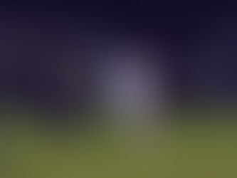 The Roundup, Oct. 30, 2024: Washington, PND set up for sectional title match after semifinal wins