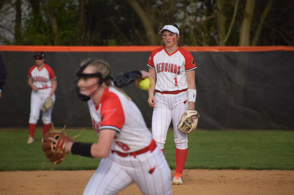 Metamora softball